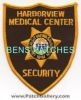 Harborview_Medical_Center_Security_Patch_Washington_Patches_WAP.jpg