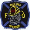 Boiling-Springs-Fire-Department-Patch-v2-South-Carolina-Patches-SCFr.jpg