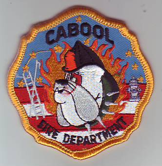 Cabool Fire Department (Missouri)
Thanks to Dave Slade for this scan.
