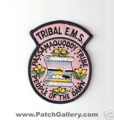 Passamaquoddy Tribe EMS
Thanks to Bob Brooks for this scan.
Keywords: maine tribal e.m.s.