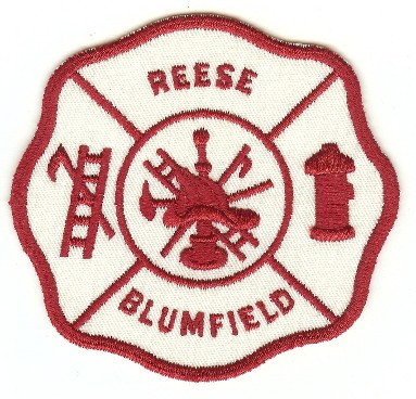 Reese Blumfield
Thanks to PaulsFirePatches.com for this scan.
Keywords: michigan fire