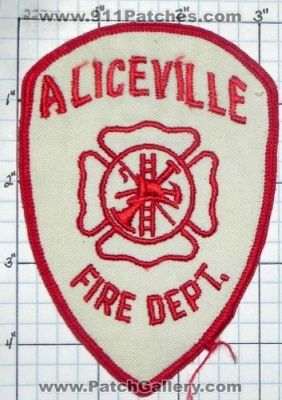 Aliceville Fire Department (Alabama)
Thanks to swmpside for this picture.
Keywords: dept.