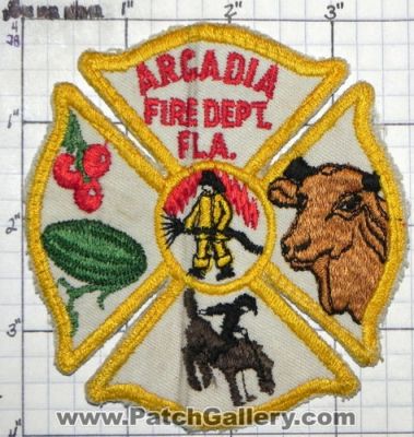 Arcadia Fire Department (Florida)
Thanks to swmpside for this picture.
Keywords: dept. fla.
