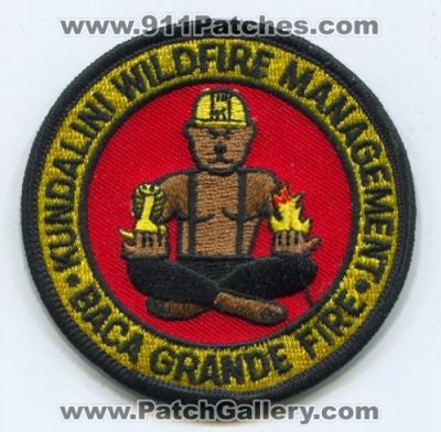 Baca Grande Fire Department Kundalini Wildfire Management Patch (Colorado)
[b]Scan From: Our Collection[/b]
Keywords: dept. forest wildland