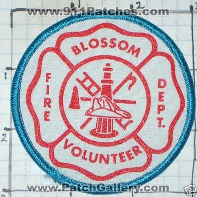 Blossom Volunteer Fire Department (Texas)
Thanks to swmpside for this picture.
Keywords: dept.