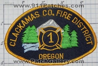 Clackamas County Fire District 1 (Oregon)
Thanks to swmpside for this picture.
Keywords: co.