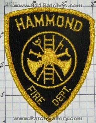 Hammond Fire Department (Louisiana)
Thanks to swmpside for this picture.
Keywords: dept.