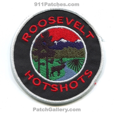 Roosevelt National Forest HotShots Patch (Colorado)
[b]Scan From: Our Collection[/b]
Keywords: fire wildfire wildland