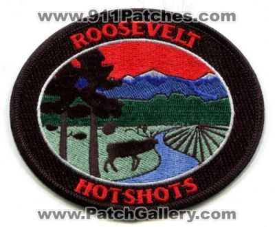 Roosevelt National Forest HotShots Patch (Colorado)
[b]Scan From: Our Collection[/b]
Keywords: wildland wildfire
