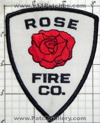 Rose Fire Company (New York)
Thanks to swmpside for this picture.
Keywords: co.