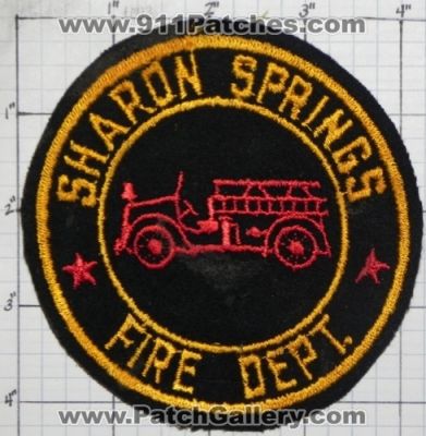 Sharon Springs Fire Department (New York)
Thanks to swmpside for this picture.
Keywords: dept.