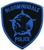 Bloomingdale_1_ILP.JPG
