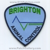 Brighton-Animal-Control-COPr.jpg