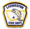 Livingston-v2-MTFr.jpg