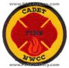 NWCC-Fire-Cadet-Patch-Unknown-State-Patches-UNKFr.jpg