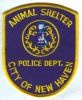 New_Haven_Animal_Shelter_CTP.jpg