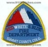 Red_White_And_Blue_Fire_Department_Patch_Colorado_Patches_COF.jpg