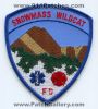Snowmass-Wildcat-Fire-Department-Dept-Patch-Colorado-Patches-COFr.jpg