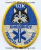 Tok-Emergency-Medical-Services-EMS-Patch-Alaska-Patches-AKEr.jpg