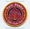 Twin-Peaks-UTFr.jpg