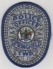 Springfield_Twp_Police_Officer_(New_Jersey).jpg