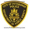 Pittsburgh_Police_Department_of_Public_Safety_DPS_Patch_Pennsylvania_Patches_PAPr.jpg