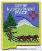 Ruidoso_Downs_Police_Patch_New_Mexico_Patches_NMP.JPG