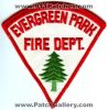 Evergreen_Park_Fire_Dept_Patch_Illinois_Patches_ILFr.jpg