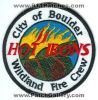 Boulder-Wildland-Fire-Crew-Hot-Irons-Patch-Colorado-Patches-COFr.jpg