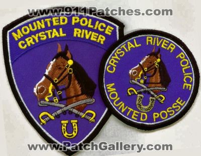 Crystal River Police Mounted Posse (Florida)
Thanks to apdsgt for this scan.
