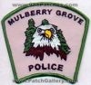 Mulberry_Grove_IL.JPG