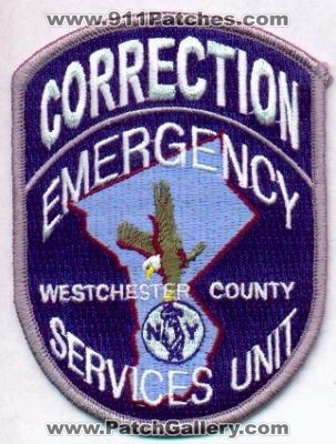 Westchester County Police Emergency Services Unit
Thanks to EmblemAndPatchSales.com for this scan.
Keywords: new york esu