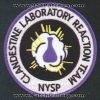 New_York_State_Clad_Lab_NY.JPG