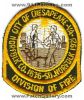 Chesapeake-Division-of-Fire-Patch-Virginia-Patches-VAFr.jpg
