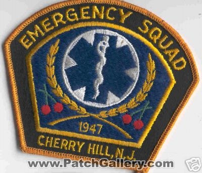 Cherry Hill Emergency Squad
Thanks to Brent Kimberland for this scan.
Keywords: new jersey ems