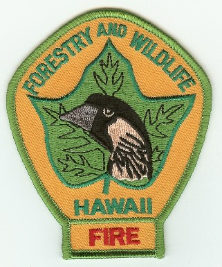 Hawaii Forestry and Wildlife Fire
Thanks to PaulsFirePatches.com for this scan.
Keywords: wildland