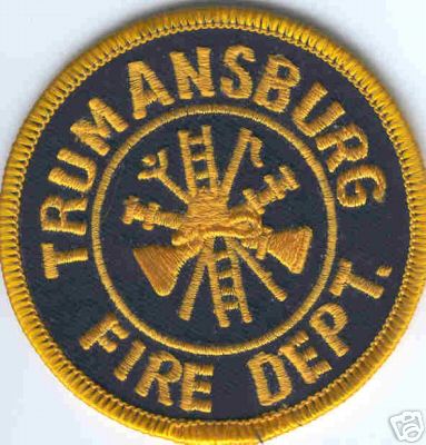 Trumansburg Fire Dept
Thanks to Brent Kimberland for this scan.
Keywords: new york department