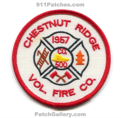 Chestnut Ridge Volunteer Fire Company 500 Patch (Maryland)
Scan By: PatchGallery.com
Keywords: vol. co. department dept. 1957
