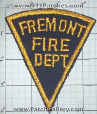 Fremont Fire Department (California)
Thanks to swmpside for this picture.
Keywords: dept.