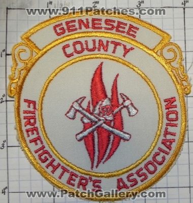 Genesee County FireFighter's Association (New York)
Thanks to swmpside for this picture.
Keywords: firefighters