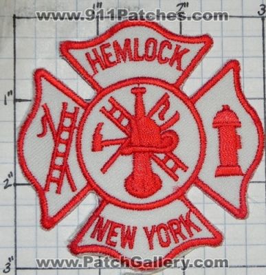 Hemlock Fire Department (New York)
Thanks to swmpside for this picture.
Keywords: dept.