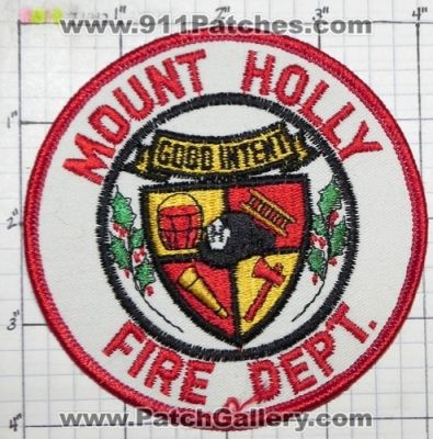 Mount Holly Fire Department (North Carolina)
Thanks to swmpside for this picture.
Keywords: dept. mt.