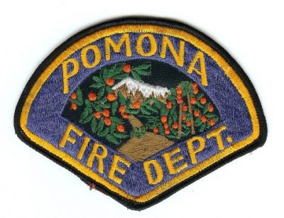 Pomona Fire Dept
Thanks to PaulsFirePatches.com for this scan.
Keywords: department