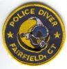 Fairfield_Diver_CT.jpg
