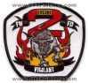 Fort-Ft-Wayne-Fire-Department-Dept-FWFD-Engine-2-Patch-Indiana-Patches-INFr.jpg