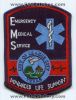 League-City-Emergency-Medical-Services-EMS-Advanced-Life-Support-ALS-Patch-Texas-Patches-TXEr.jpg