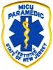 New_Jersey_MICU_Paramedic_NJEr.jpg