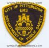 Pittsburgh-Department-Dept-of-Public-Safety-DPS-EMS-Patch-Pennsylvania-Patches-PAEr.jpg