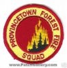 Provincetown_Forest_Squad_MAF.jpg