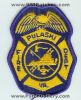 Pulaski-2-VAF.jpg